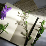 Journaling für Selbstwert und Selbstreflexion ab 40