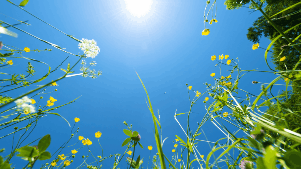 Selbstbestimmung im Alltag: Warum wir oft gegen uns selbst leben