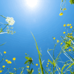 Selbstbestimmung im Alltag: Warum wir oft gegen uns selbst leben