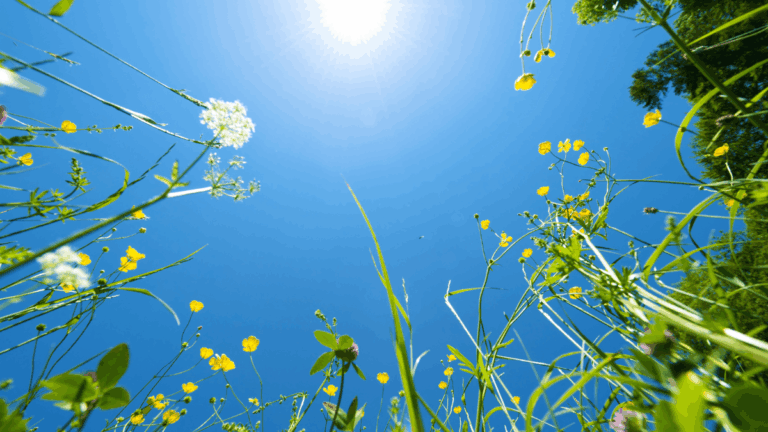 Selbstbestimmung im Alltag: Warum wir oft gegen uns selbst leben