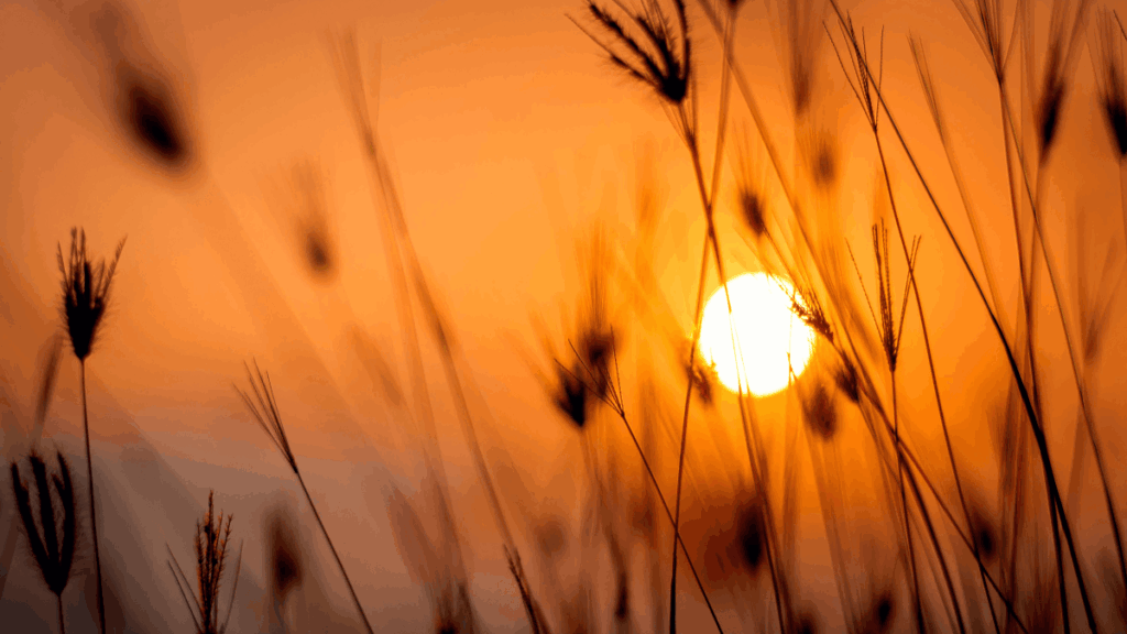 Sonnenaufgang als Zeichen für Klarheit und Selbstführung Sonnenaufgang als Zeichen für Klarheit und Selbstführung